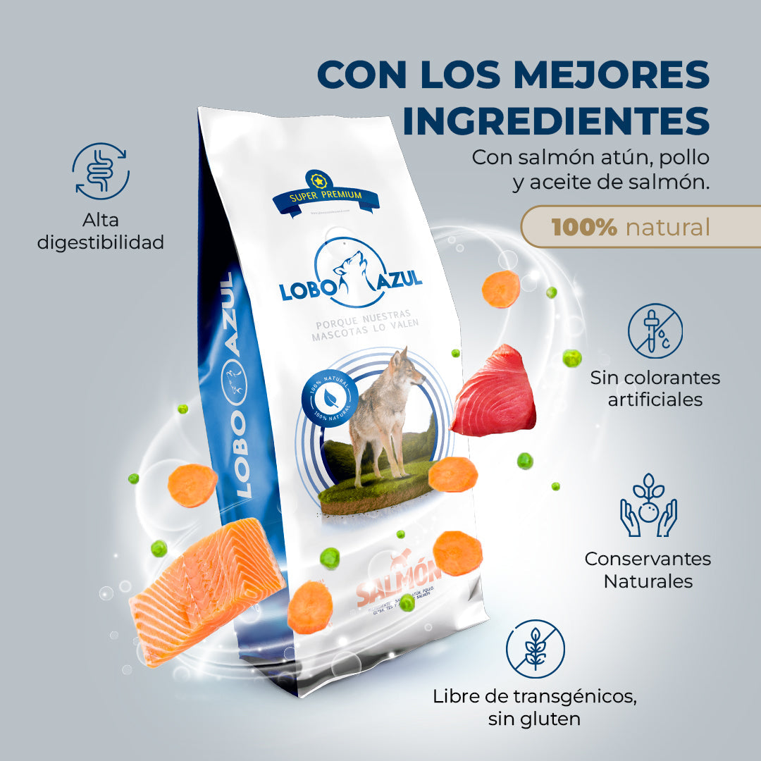 Salmón