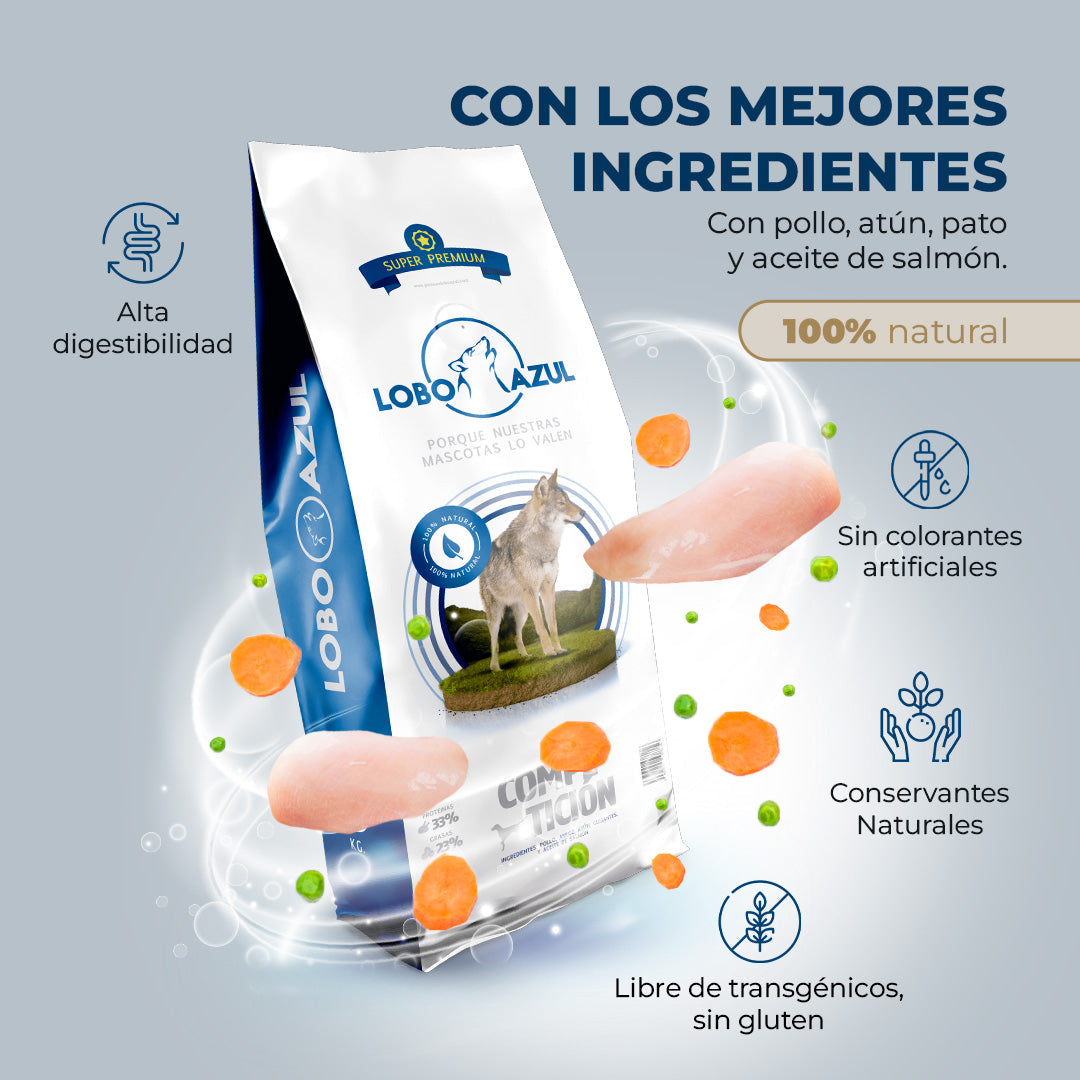 Competición